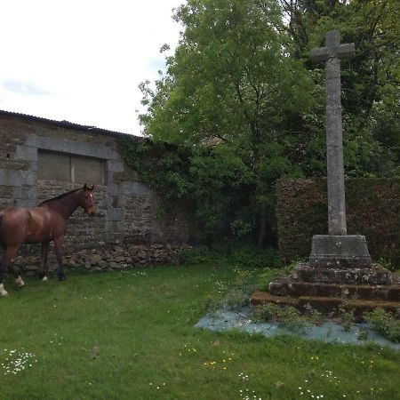 Haras De La Croix D'Argent Bed & Breakfast Saint-Sauveur-de-Carrouges Exterior foto