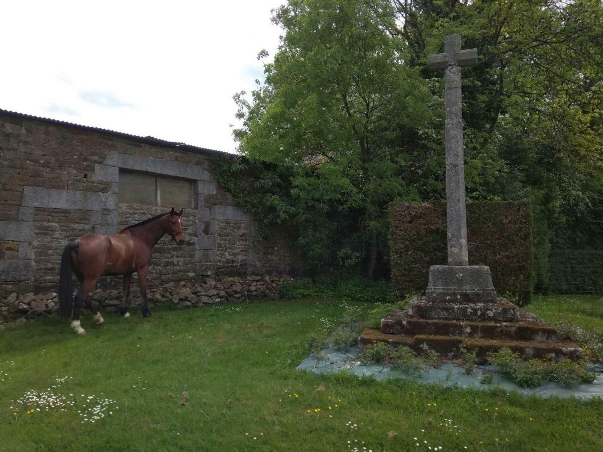Haras De La Croix D'Argent Bed & Breakfast Saint-Sauveur-de-Carrouges Exterior foto